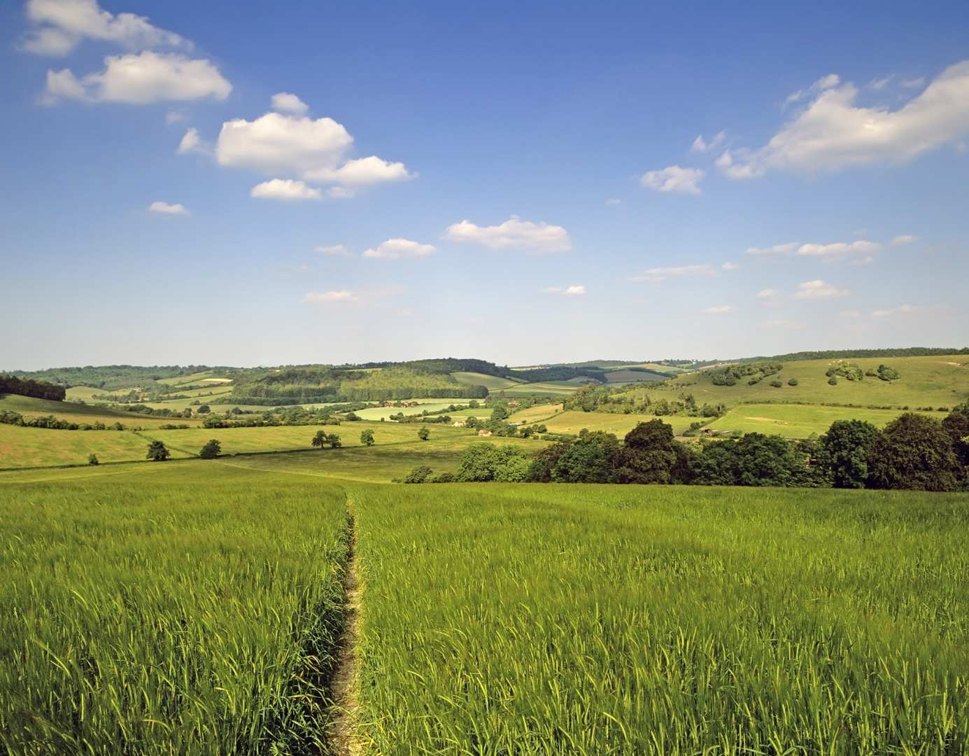 The Ridgeway